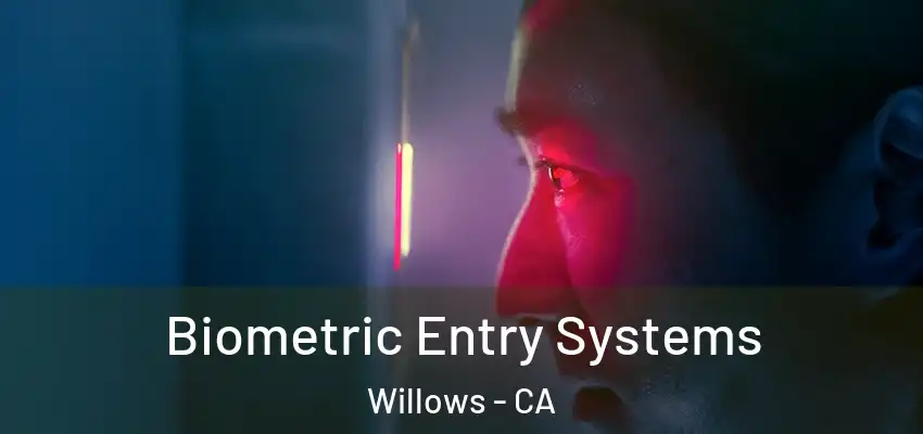  Biometric Entry Systems Willows - CA