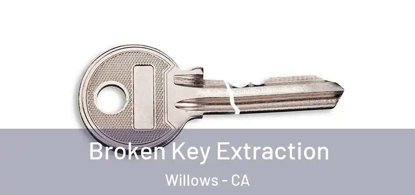 Broken Key Extraction Willows - CA