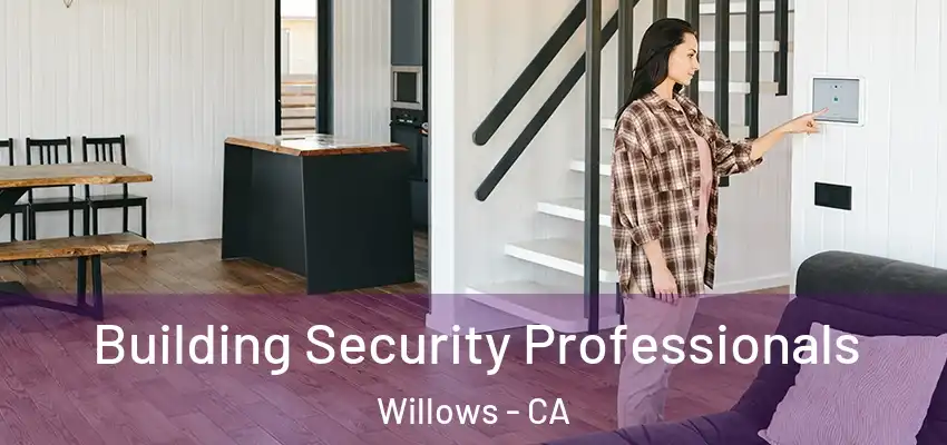 Building Security Professionals Willows - CA