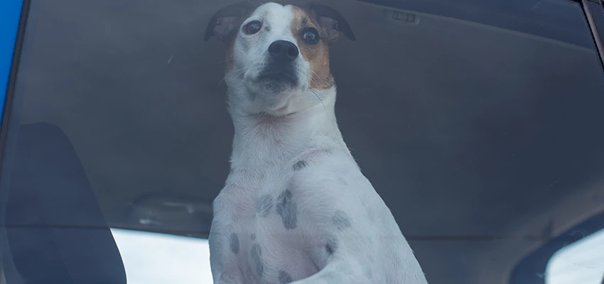 Car Lockout Solutions in Willows, California