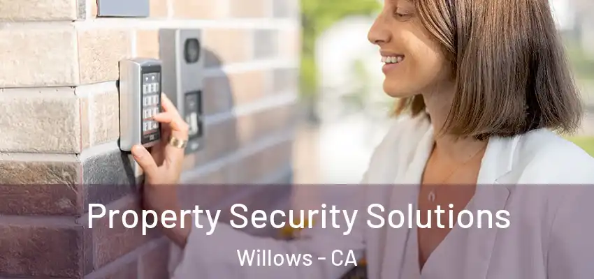 Property Security Solutions Willows - CA