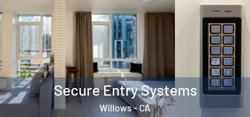  Secure Entry Systems Willows - CA